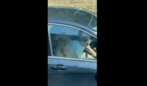 Slut Blows Driver While Ass & Pussy on Full Display